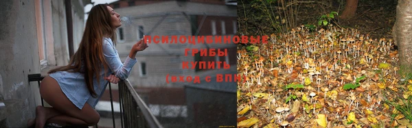 jwh Гусиноозёрск